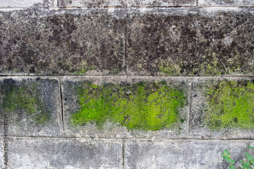 Wall white brick dirty lichen moss stain wayside