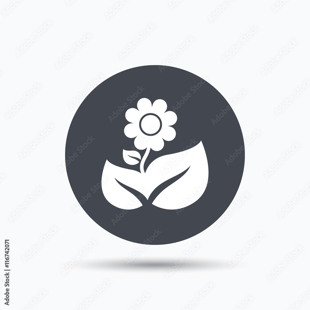 Flower icon. Florist plant with leaf sign. Flower icon. Florist plant with leaf sign.