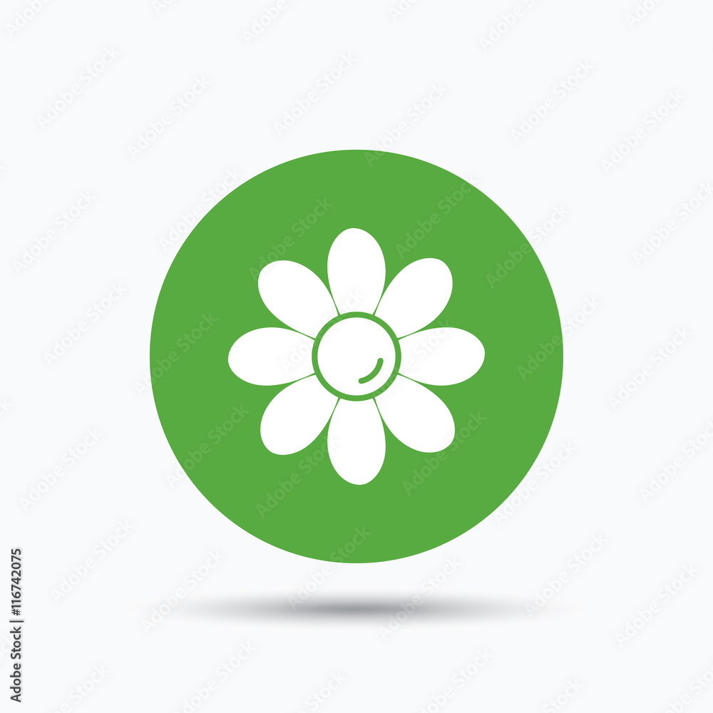 Flower icon. Florist plant with petals sign. Flower icon. Florist plant with petals sign.