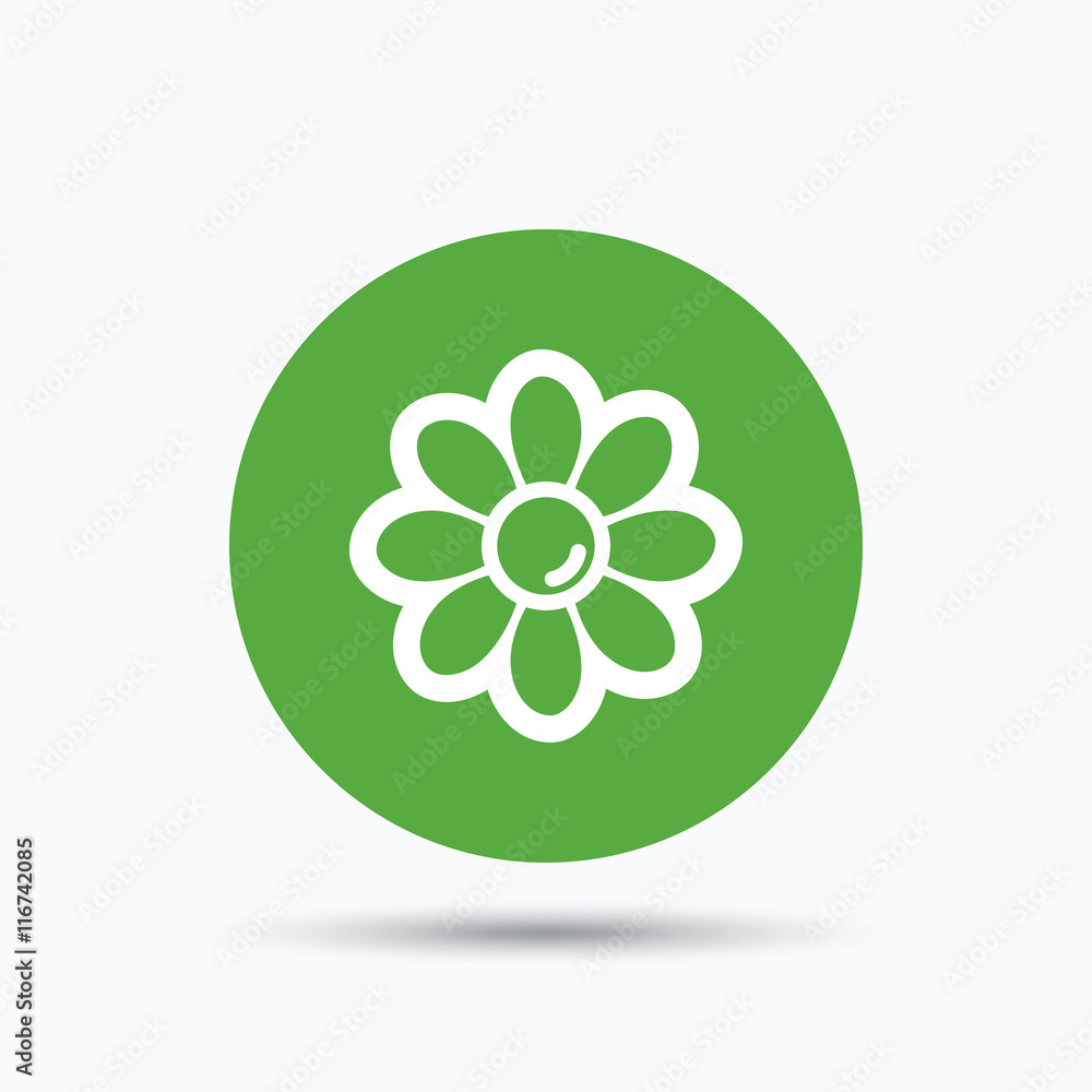 Flower icon. Florist plant with petals sign. Flower icon. Florist plant with petals sign.