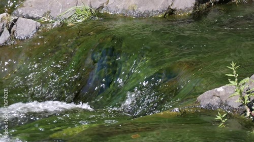 Wallpaper Mural Mountain waterfall in North Karelia. Torontodigital.ca