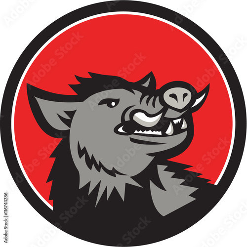 Wild Boar Head Angry Looking Up Circle Retro