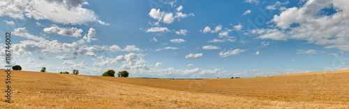 Fileds after harvest