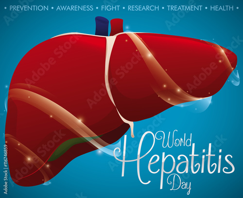 Poster with Renewed and Protected Liver on World Hepatitis Day, Vector Illustration