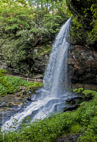 Dry Falls surrounded with greenery.