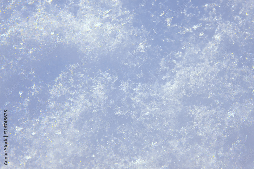 Fototapeta premium 雪