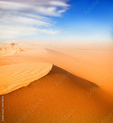 Sunset over the Sahara Desert