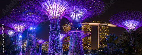 Night view of illuminated Supertree Grove at Gardens by the Bay in Singapore