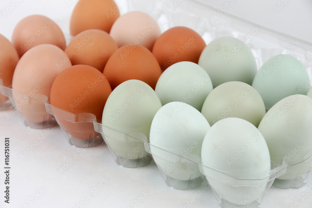 chicken eggs with different color in the container chicken eggs with different color in the container