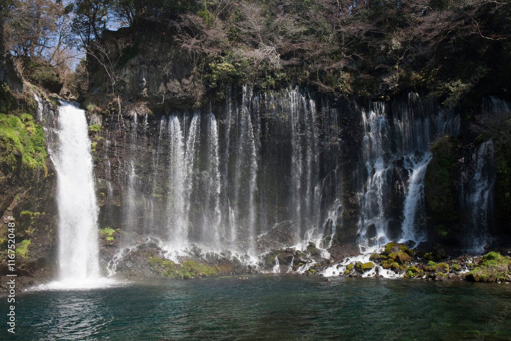 Fototapeta premium 白糸の滝