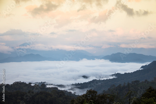 The landscape photo, beautiful sea fog at Kaeng Krachan National Park in Thailand