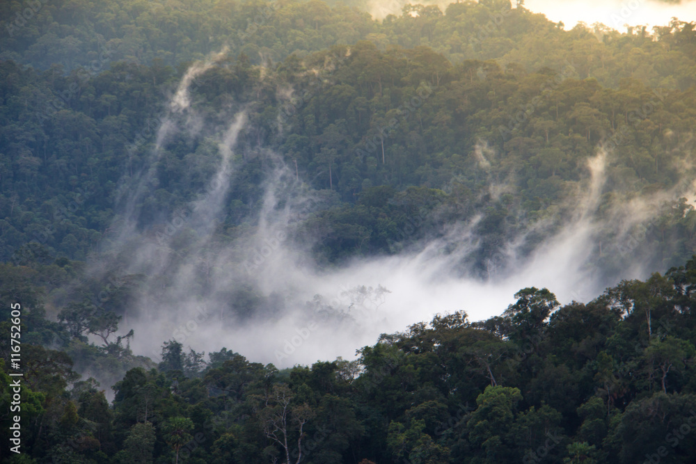 The landscape photo, beautiful sea fog at Kaeng Krachan National Park in Thailand The landscape photo, beautiful sea fog at Kaeng Krachan National Park in Thailand
