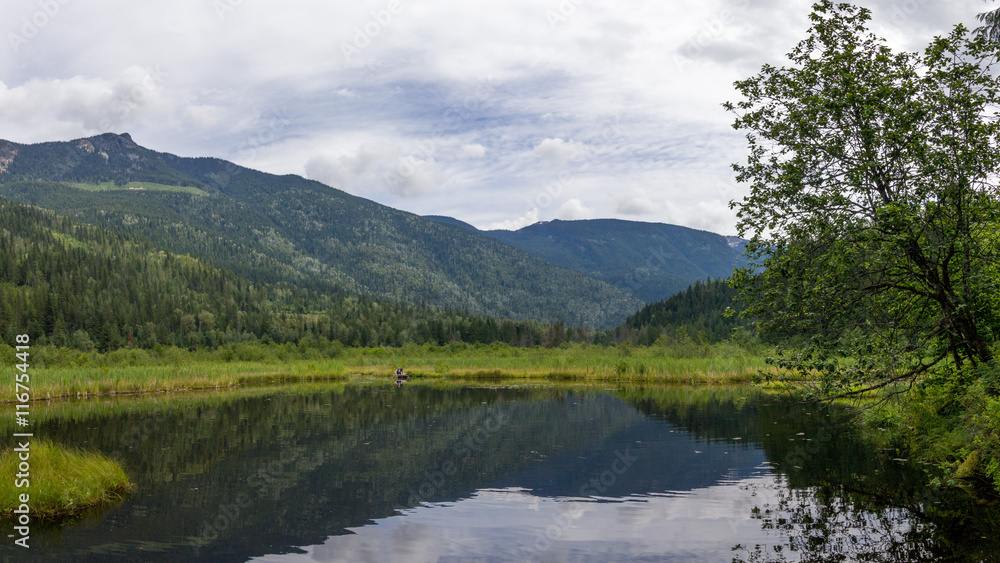 Fototapeta premium Clear summer mountain lake with forest