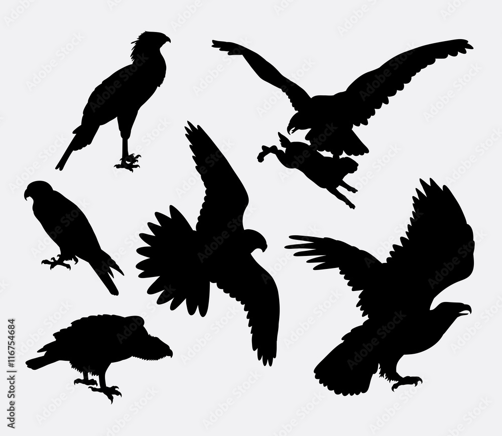 Naklejka premium Eagle, hawk, falcon, pose bird silhouette. Good use for symbol, logo, web icon, mascot, sticker design, sign, avatar, or any design you want. Easy to use.