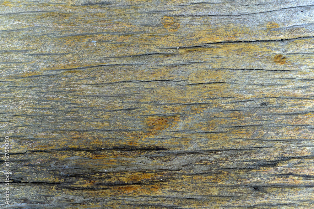wood texWood grain textureture background wood texWood grain textureture background