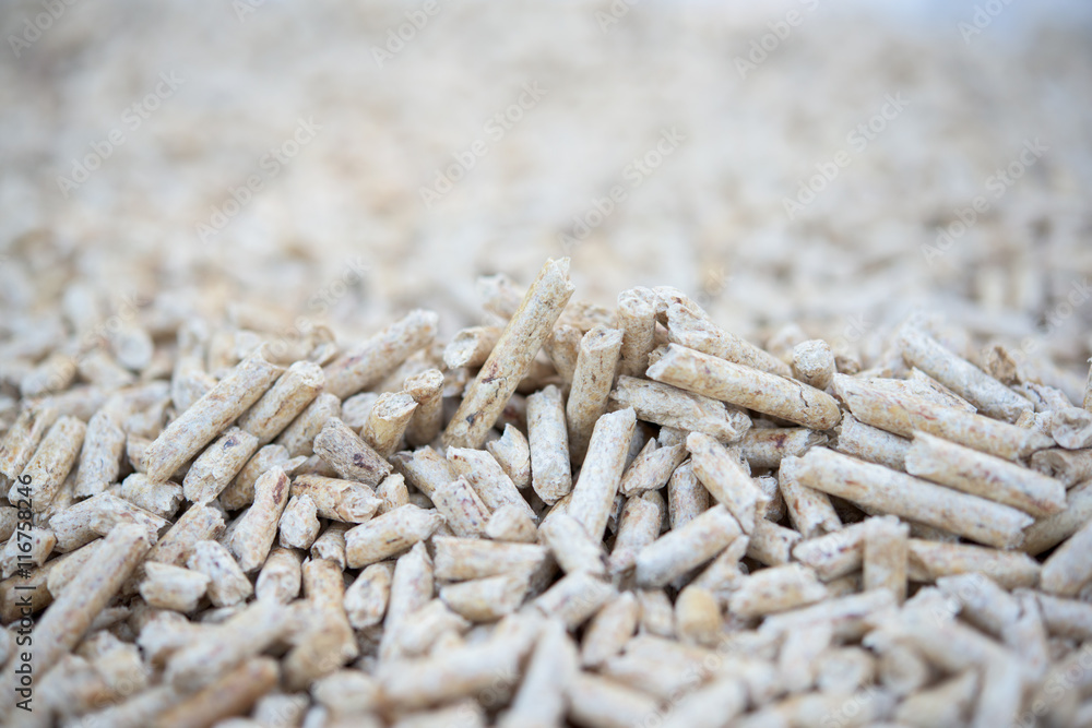 Obraz premium Wooden pellets