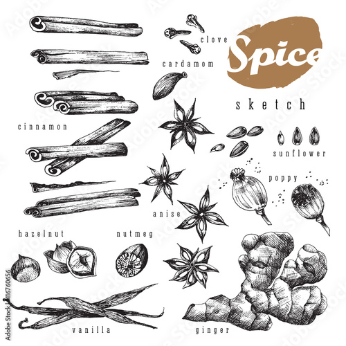 Flavour spices sketch food design big set for bakery shop. Vector isolated elements: cinnamon,