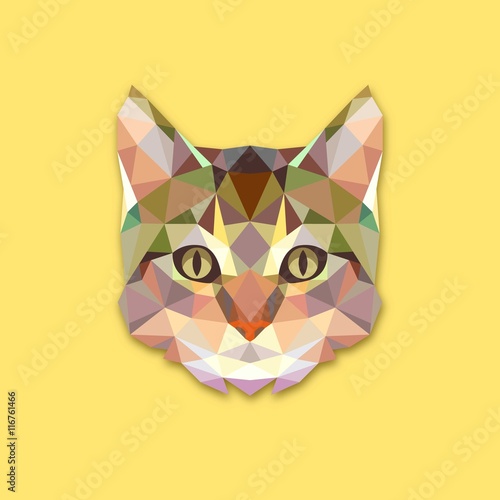 Triangle cat design 