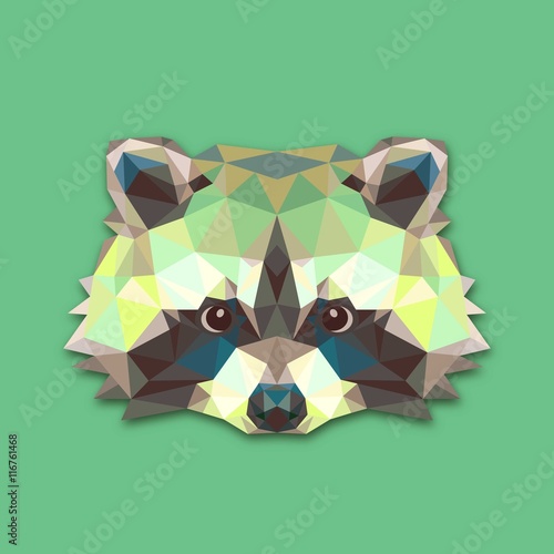 Triangle raccoon design 