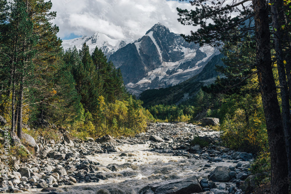 Fototapeta premium nature