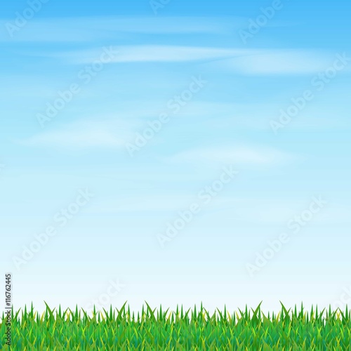 Grass and sky