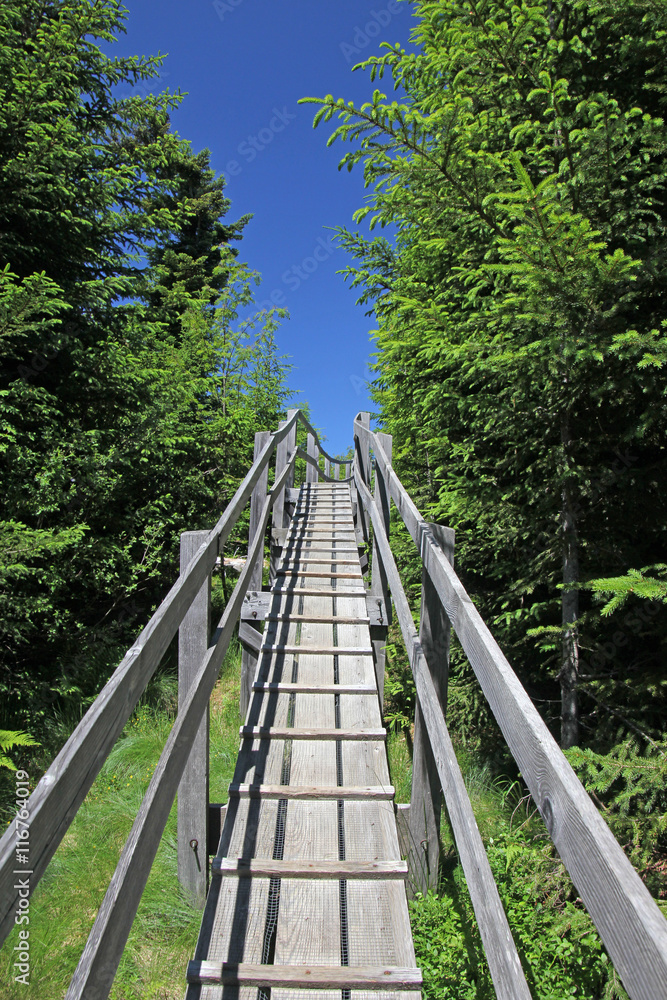 Fototapeta premium pfad, naturpark, gantrisch, bern, schweiz