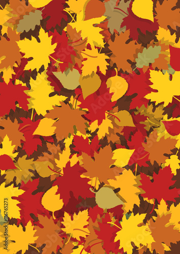 Autumn leaves background.  Beautiful autumn leaves background  with yellow and red leaves. Vector available.  