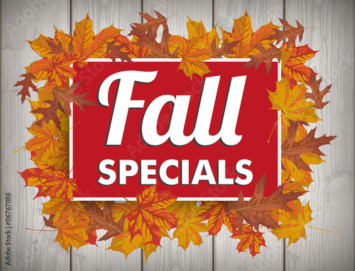 Board Autumn Foliage Fall Specials Wood