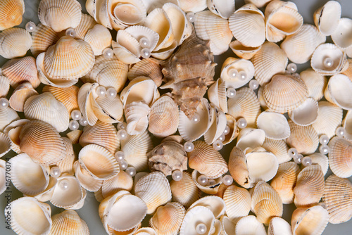 Scattered seashells and colored glass beads. Pearl Pearls in shells, memories of the holiday by the sea