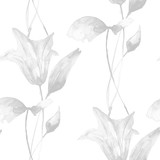 Monochrome seamless pattern with Lily flowers