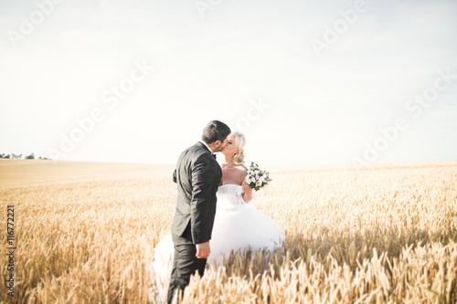 Beautiful wedding couple, bride and groom posing on wheat field with blue sky © olegparylyak