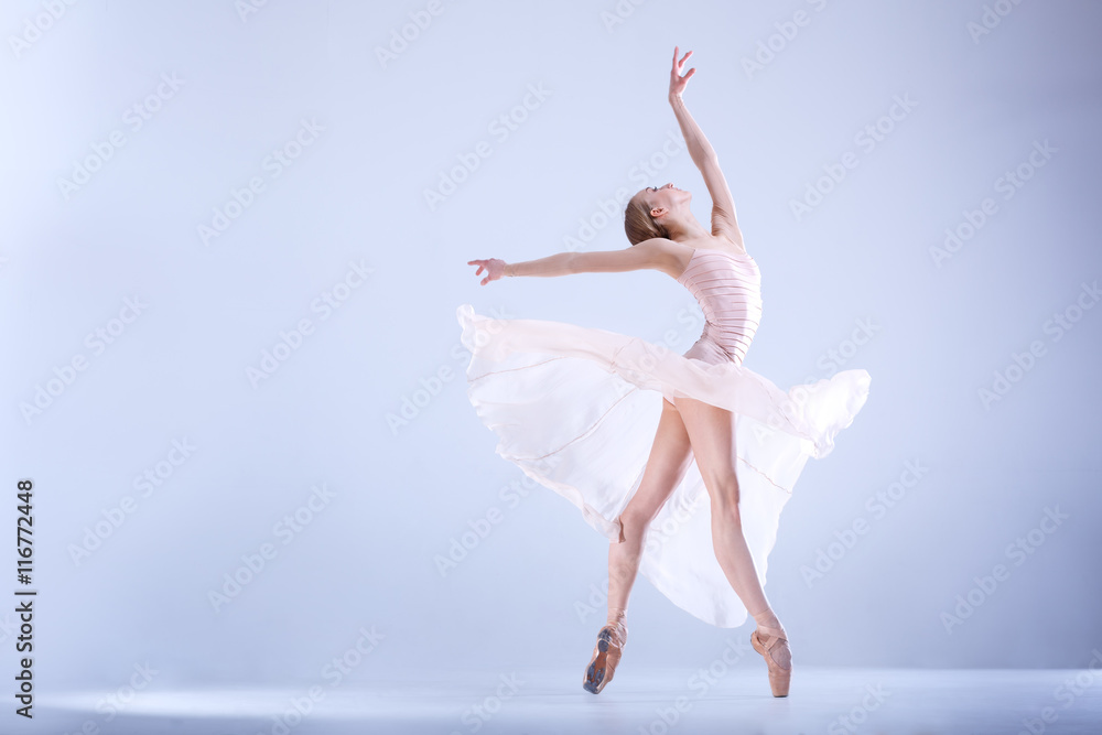 Ballet Perfection. Young and beautiful ballerina in a white dress is posing in a white studio full of light.