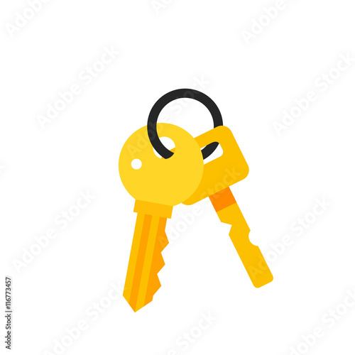 Bunch of Keys Icon