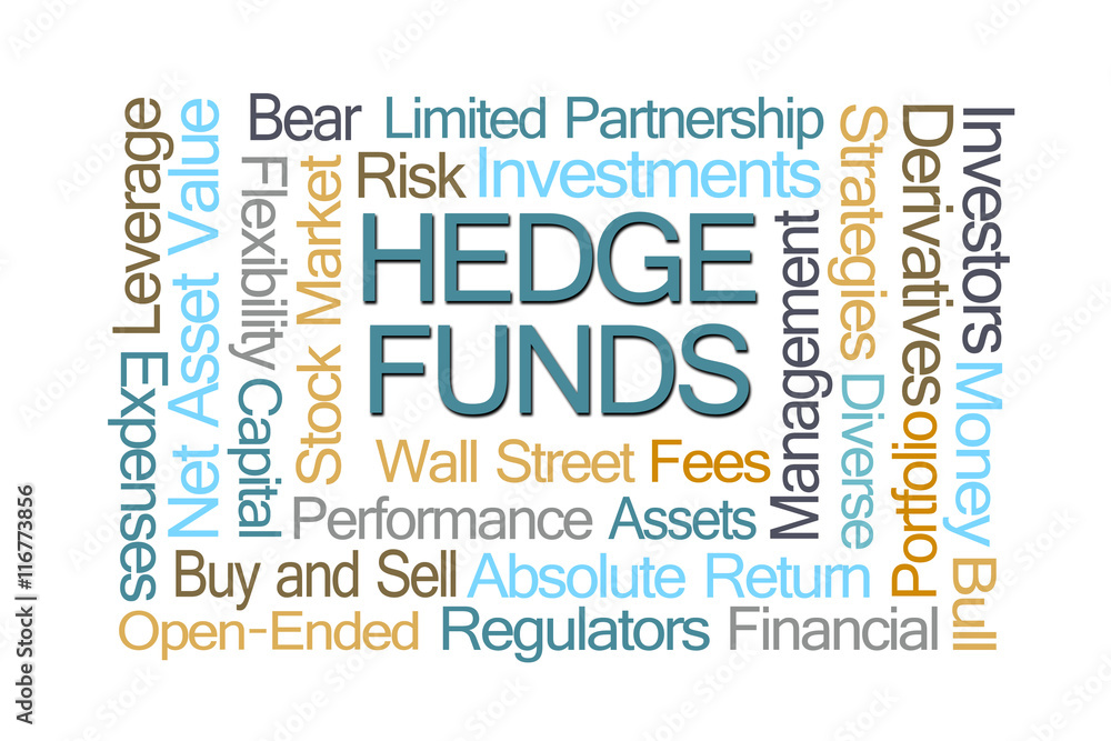 Obraz premium Hedge Funds Word Cloud