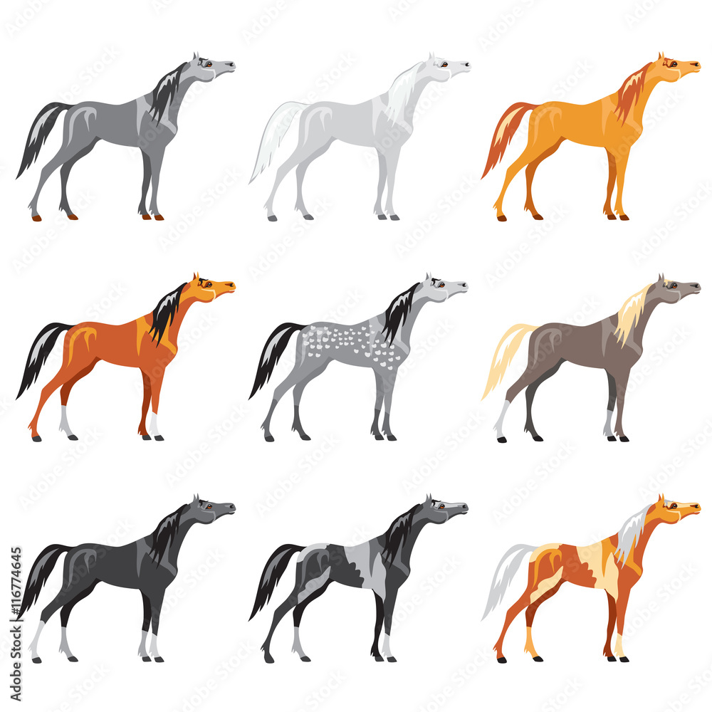 Obraz premium Set_of_horses