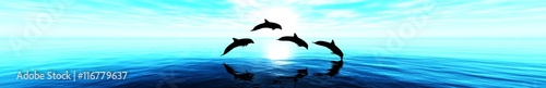 Sea and dolphins. sea sunset. panorama.