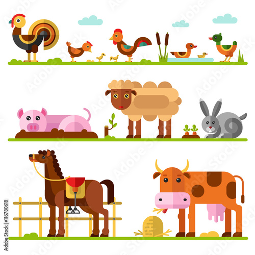 Flat vector geometric illustration set of farm or domestic animals. Turkey, hen and rooster with chicks, family of ducks, goose, pig in puddle of mud, sheep, rabbit and carrots, cow, horse in paddock