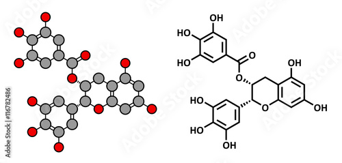 Epigallocatechin gallate (EGCG) green tea polyphenol molecule. 