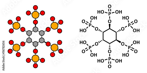 Phytic acid (hexakisphosphate, IP6, phytate) molecule. 