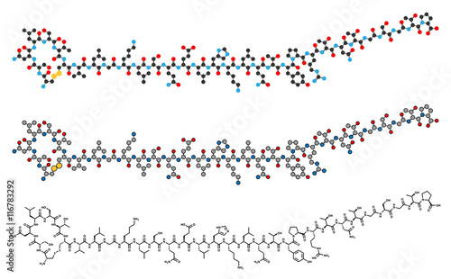 Salmon calcitonin peptide hormone drug molecule.  photo