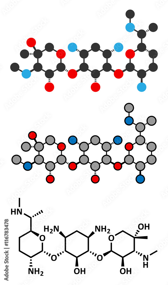 Gentamicin antibiotic drug (aminoglycoside class) molecule. Gentamicin antibiotic drug (aminoglycoside class) molecule.