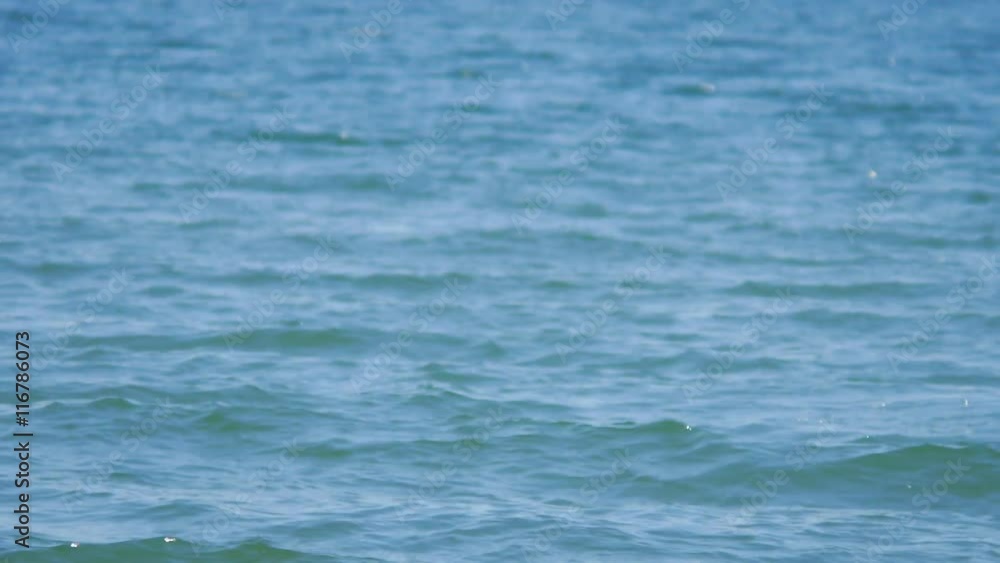 Girl Relaxing and Laying on the Beach Sunbathed in Hot Summer Girl Relaxing and Laying on the Beach Sunbathed in Hot Summer