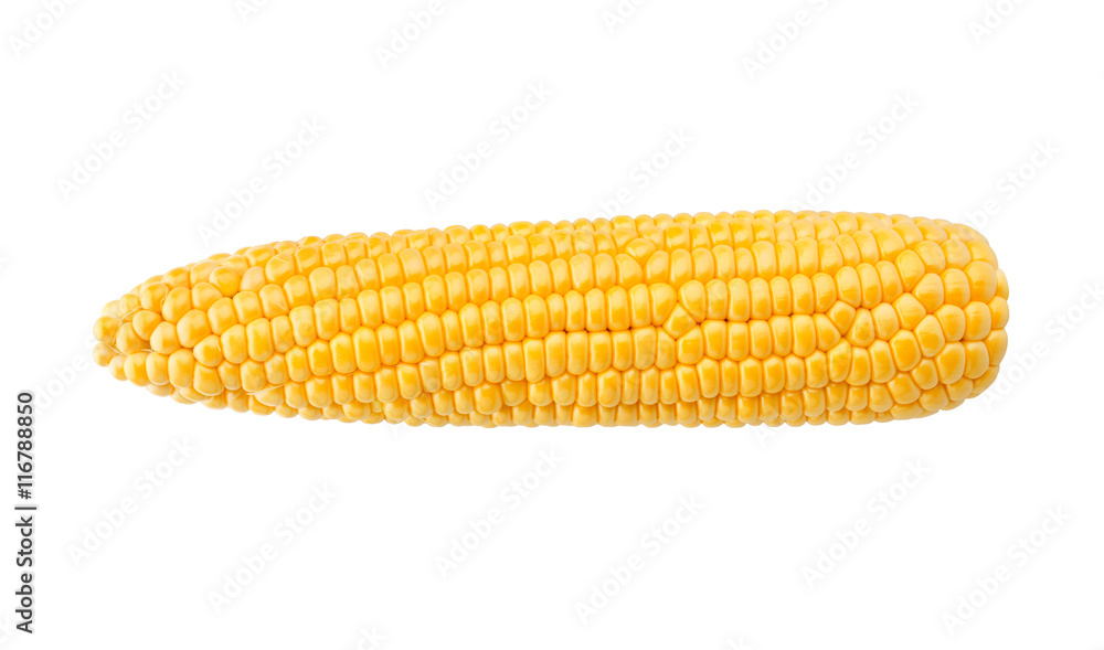 corn corn