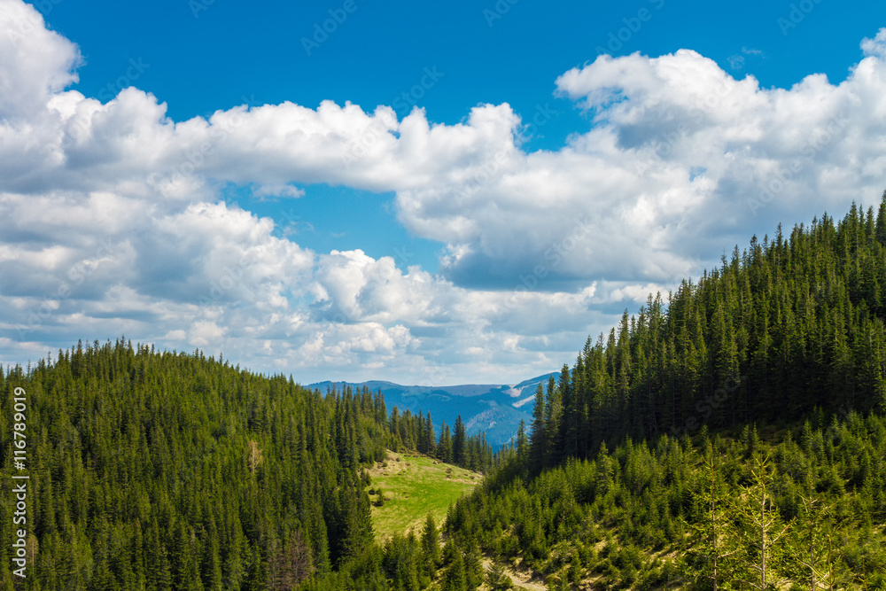 Green Carpathians Mountains Green Carpathians Mountains