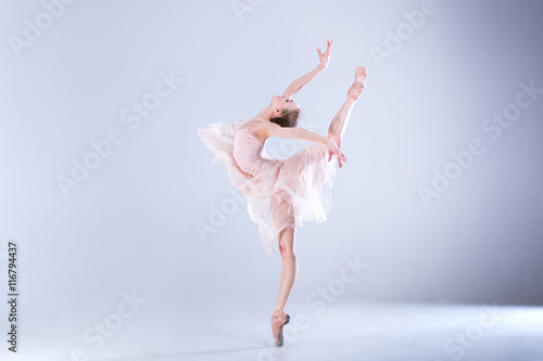 Print op canvas Ballet Perfection