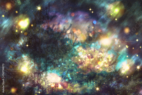 Fantasy Starry Forest © AnnaPa