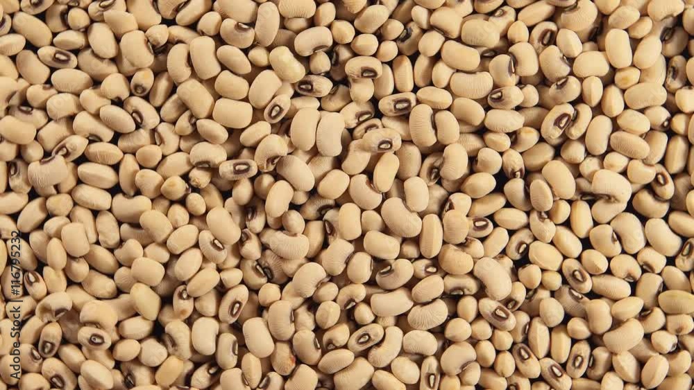 White beans (Rotation) White beans (Rotation)