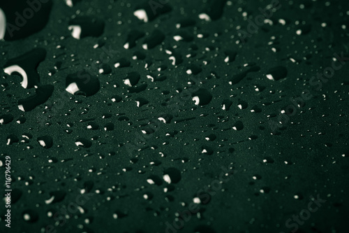 Drops of water on a color background. Green. Shallow depth of fi © strannik_fox