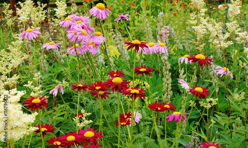 Картината върху платно Perennial flower border in a cottage garden