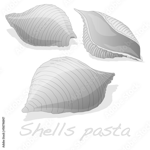 Pasta - Conchiglioni "Shell Pasta"
